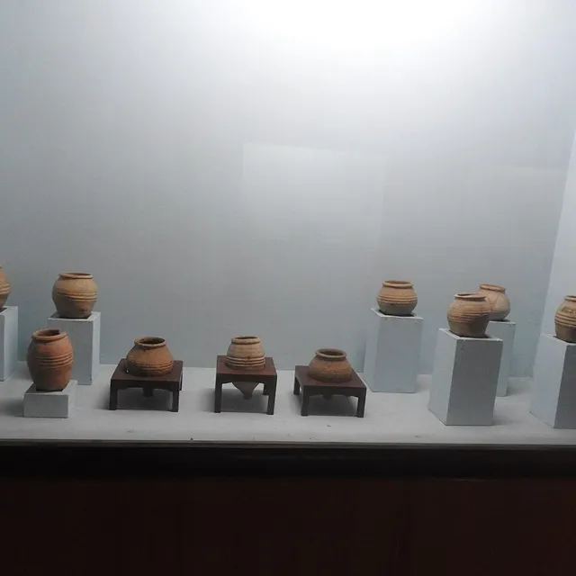Tortoise Shell Carving